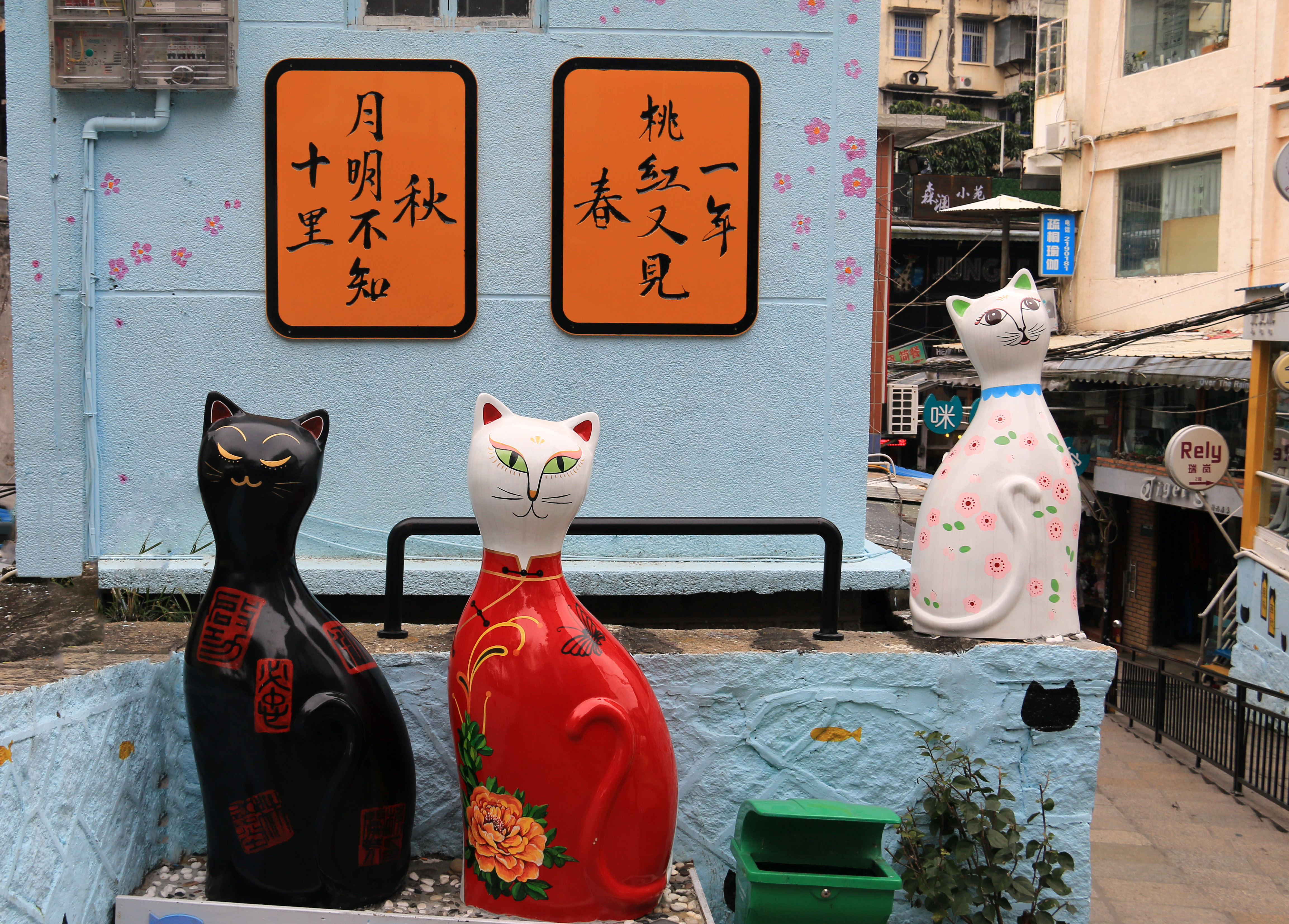 厦门猫街在哪里 图片合集