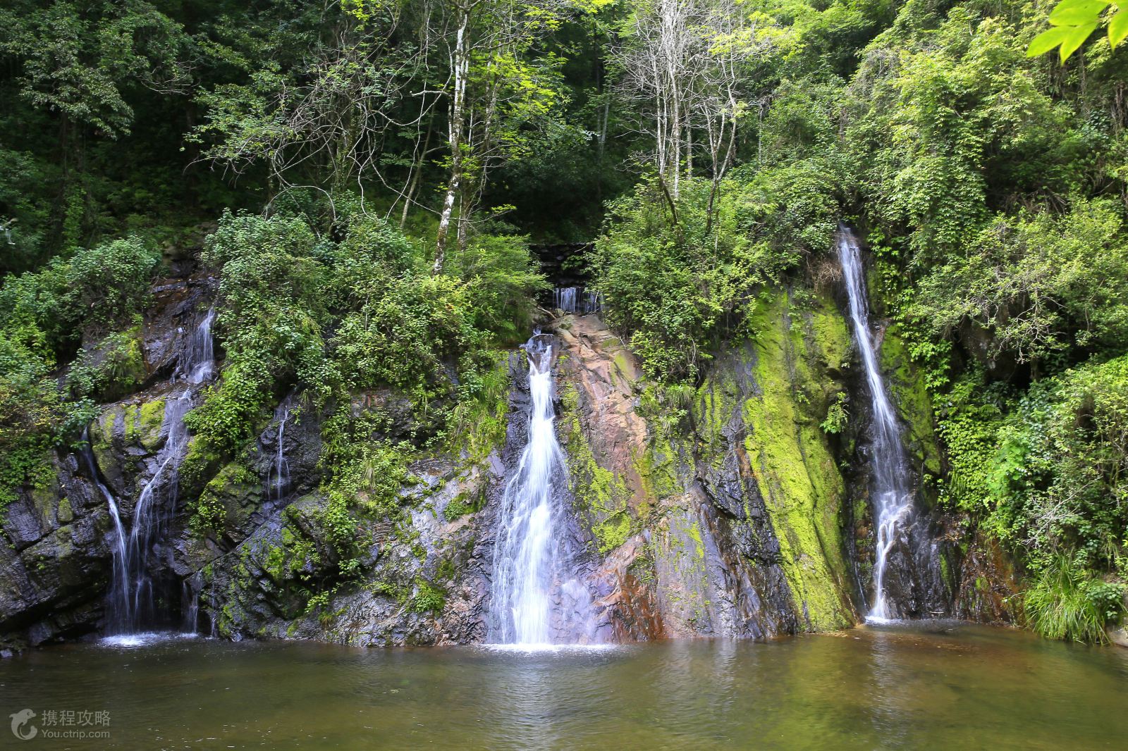 自然探索·云南嘎洒大槟榔园+哀牢山2日游·傣族花腰风情-【携程旅游】