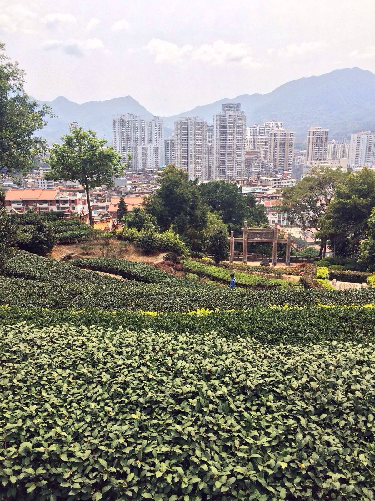 凤山,安溪县