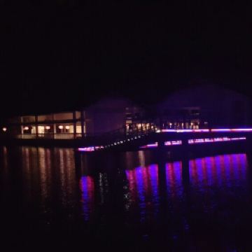 泗洪洪泽湖湿地公园_泗洪湿地公园门票收入(2)