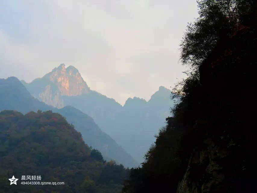 寻访终南山中的空谷幽兰