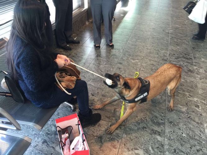 中欧文艺之旅 布达佩斯+维也纳+布拉格 - 布拉