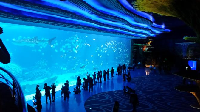 3天2晚珠海海洋王国亲子游(第一次写游记,多包