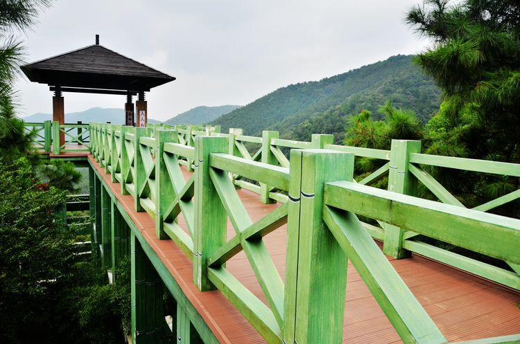 今天的行程是参观九龙山景区,苏南抗战胜利纪念碑和体验当地农家乐.