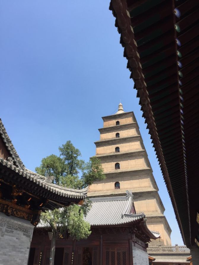 从帝王都到天府国--西安、成都自由行 - 成都游