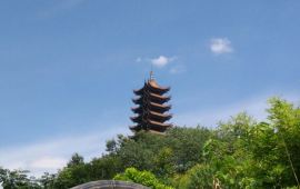 重庆照母山植物园天气预报,历史气温,旅游指数