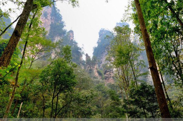 游美丽神奇的张家界 我的旅行我做主 - 武陵源