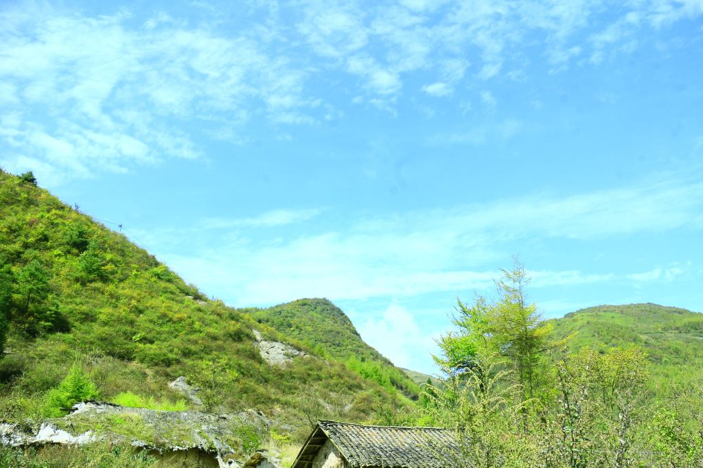 道重庆——奉节(白帝城-地缝-茅草坝)