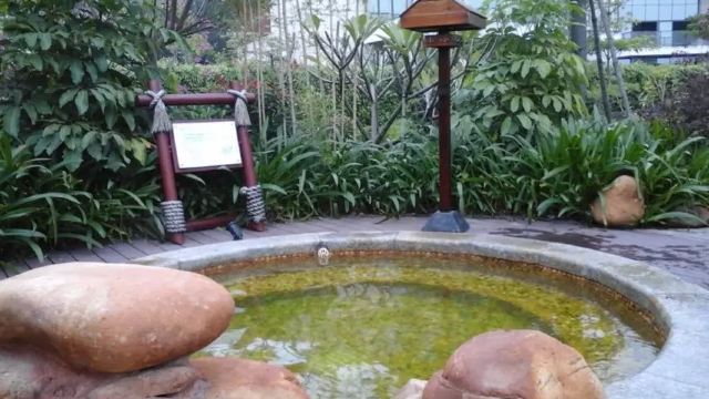 佰翔圆山花泉(温泉)
