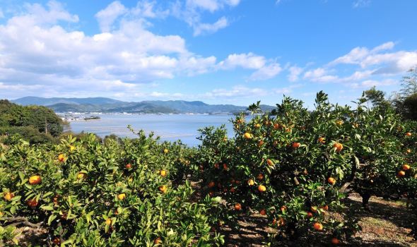 【静冈市印象】静冈市旅游怎么样_静冈市哪里