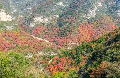 阳泉市平定县岔口乡主铺掌村红岩岭自然风景区