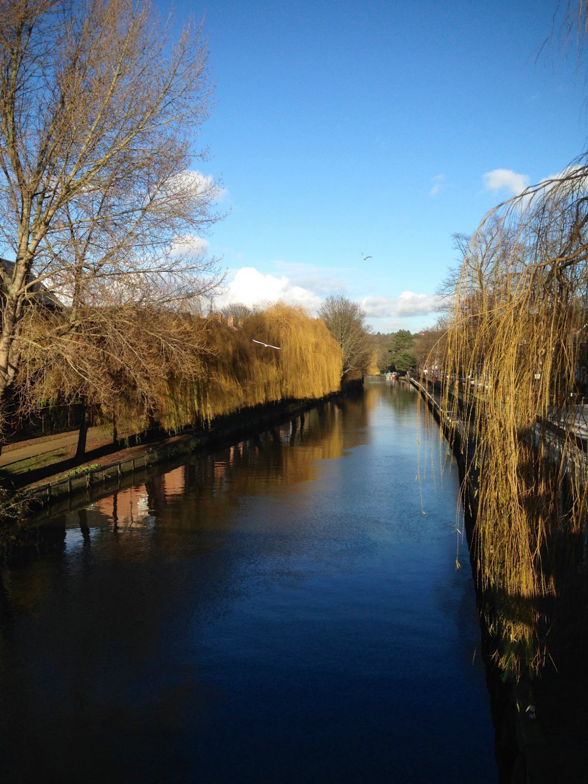 英国.norwich.