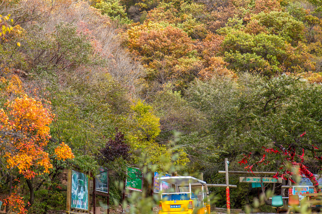 翠枫山自然风景区位于山西省阳泉市郊区平坦镇后峪村。是国家AAAA级旅游景区、国家级水利风景区、全国青少年科普基地、山西省名胜风景区、山西省水利风景区。景区占地面积13平方公里,海拔1430米,年均气温11度。景区交通十分便利,景区距市中心约15公里,距石太高速公里阳泉坡头出口仅9公里之遥,西距太原110公里,东距石家庄120公里。 翠枫山是阳泉市首次发现的原始次生林。景区森林覆盖率达94%以上,汇集和保存了大量比较完整的天然原始次生植物和生物群落。区内有动植物1200余种,其中狼、红尾山鸡、野猪、豹猫、蛇