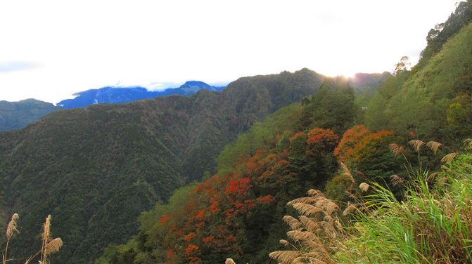 2015的冬天,我们在台湾(12天环岛自由行) - 台