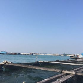 红海湾遮浪角门票,汕尾红海湾遮浪角攻略\/地址