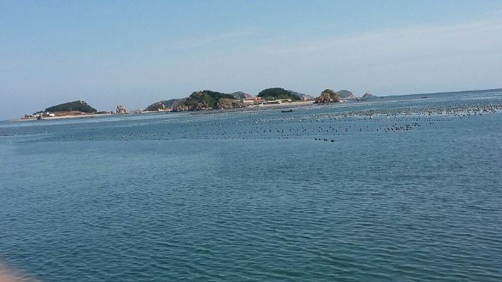 庄河海王九岛—穷游海岛历险记之终结篇