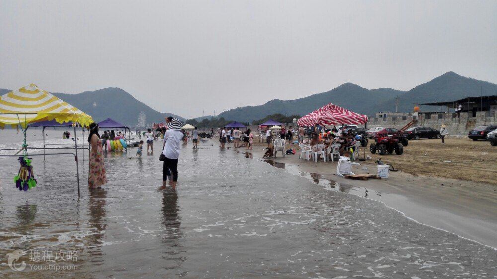 昆山华东海鲜城_番禺顺景海鲜城_华东海鲜城(4)
