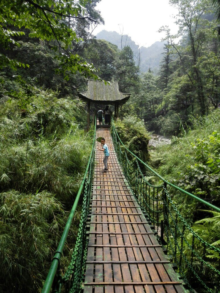 峨眉:考虑到体力问题了去金顶,转而从万年到清音阁洪椿坪到猴区