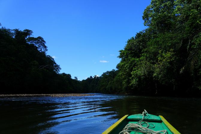 #随手拍#文莱Ulu Temburong国家森林公园 - 辽