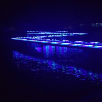 泗洪洪泽湖湿地公园_泗洪湿地公园门票收入