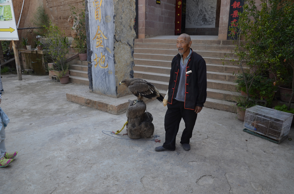 ... 我也不想去看了,一种上当的心情始终萦绕心间