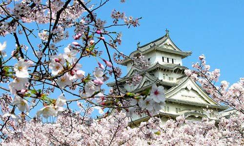 日出之国--日本,樱花浪漫之时,携程同游可好?