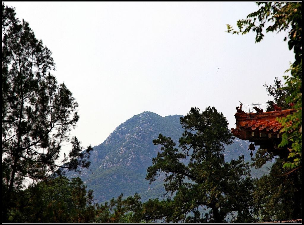 出中岳庙后门,可直接登临嵩山黄盖峰.