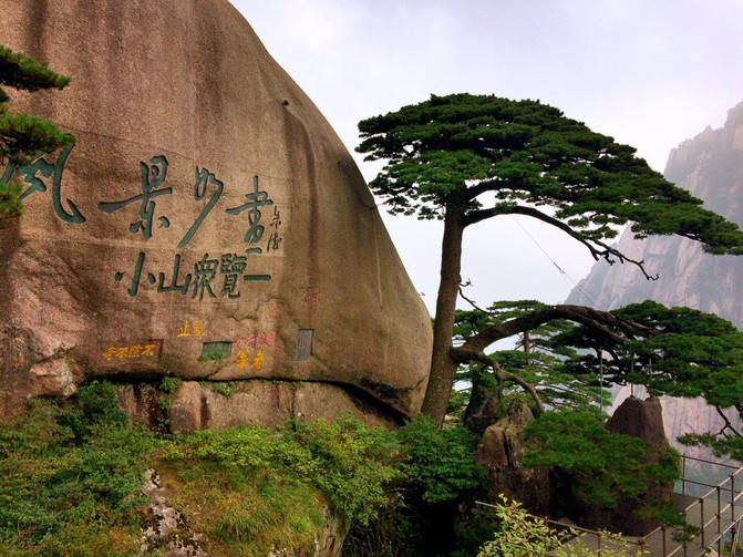 黄山-与你亲近在夏季