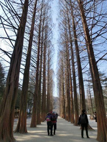 【2014の冬季】首尔印象 - 春川市游记攻略【携程攻略】