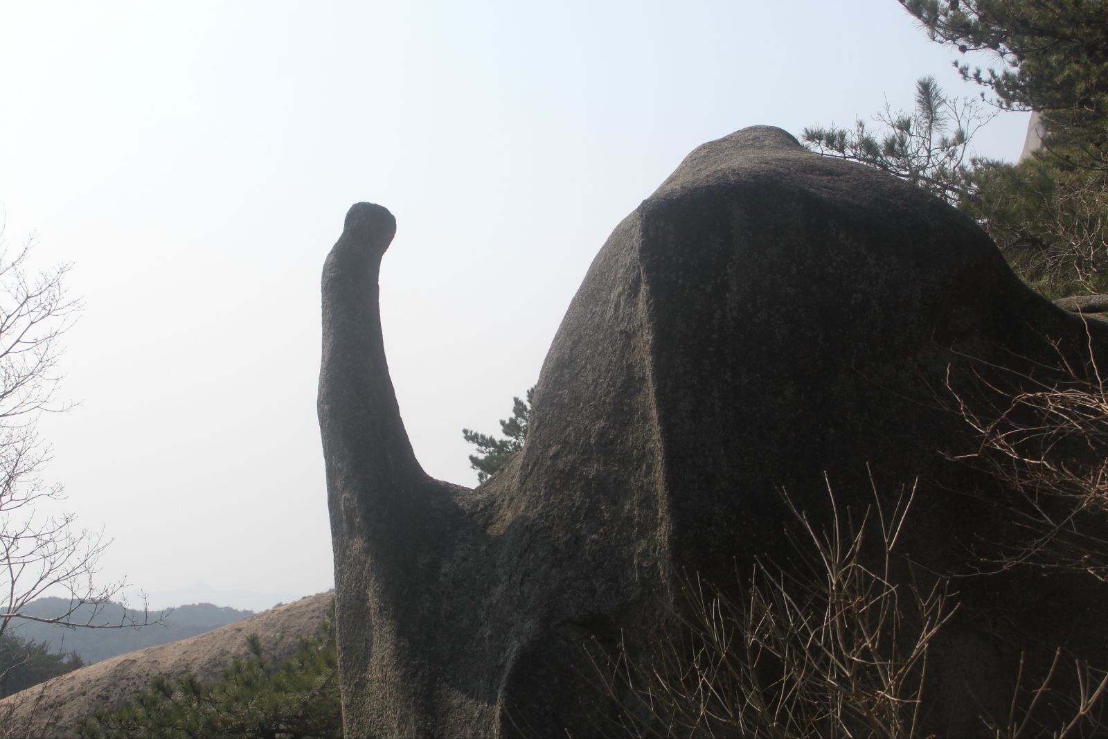 象鼻石 天柱山