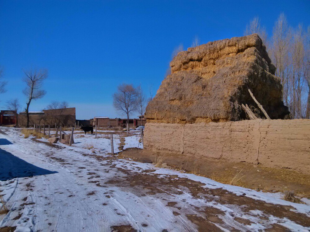 甘肃永昌骊靬古城