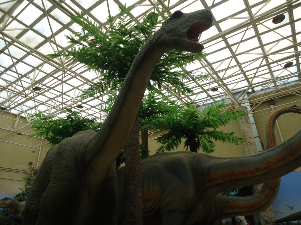 走进自然之北京自然博物馆-恐龙公园