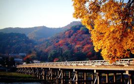 京都渡月桥天气预报,历史气温,旅游指数,渡月桥
