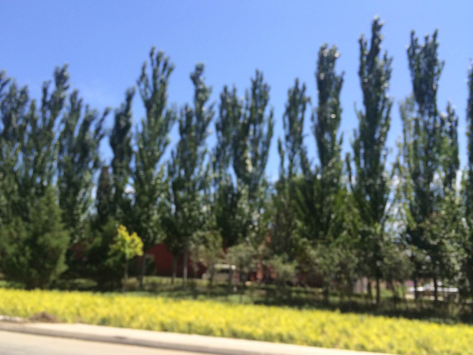 蓝色的故乡--内蒙古