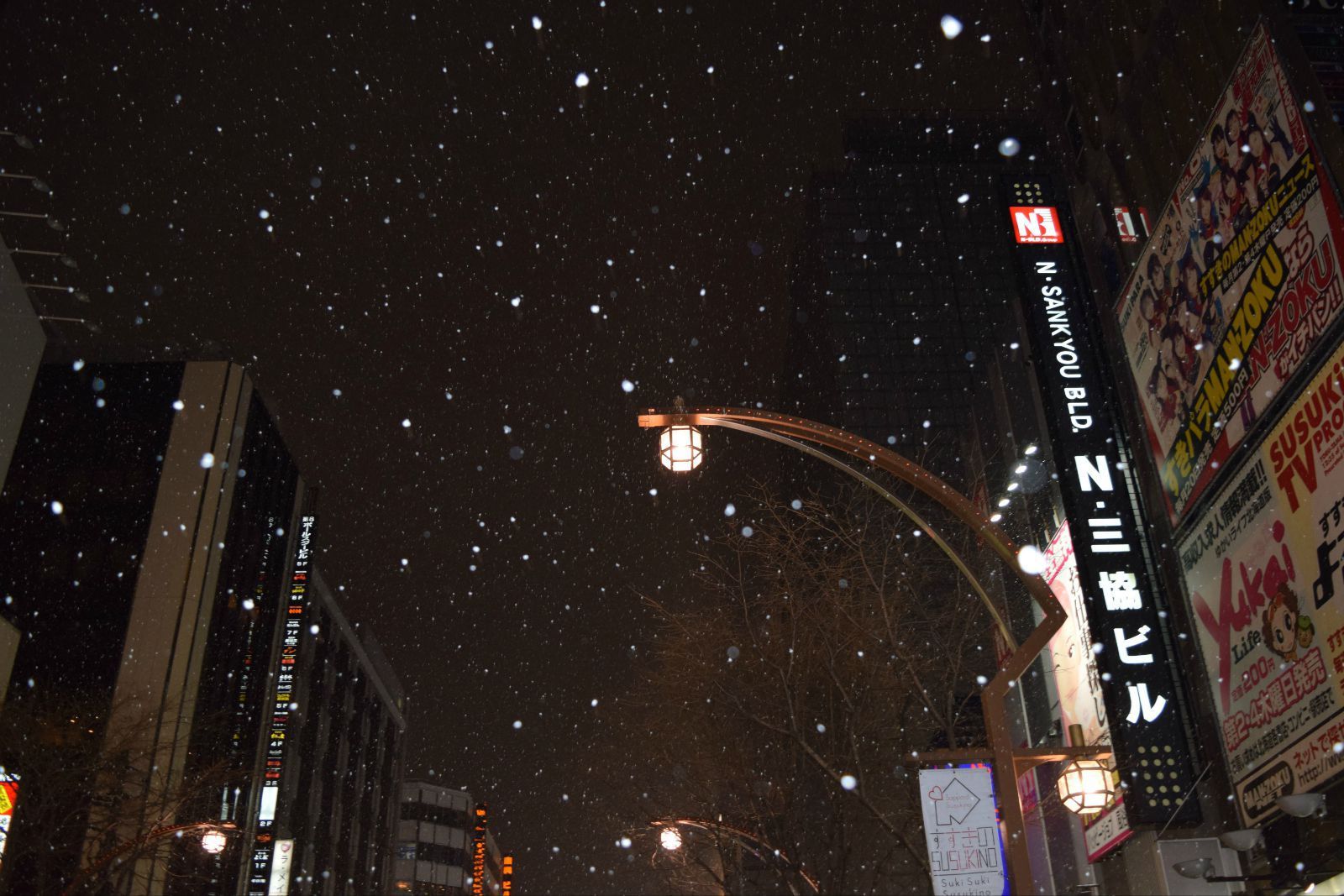 初到札幌,夜雪来迎 札幌