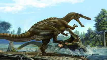 霸王龙大战特暴龙图片