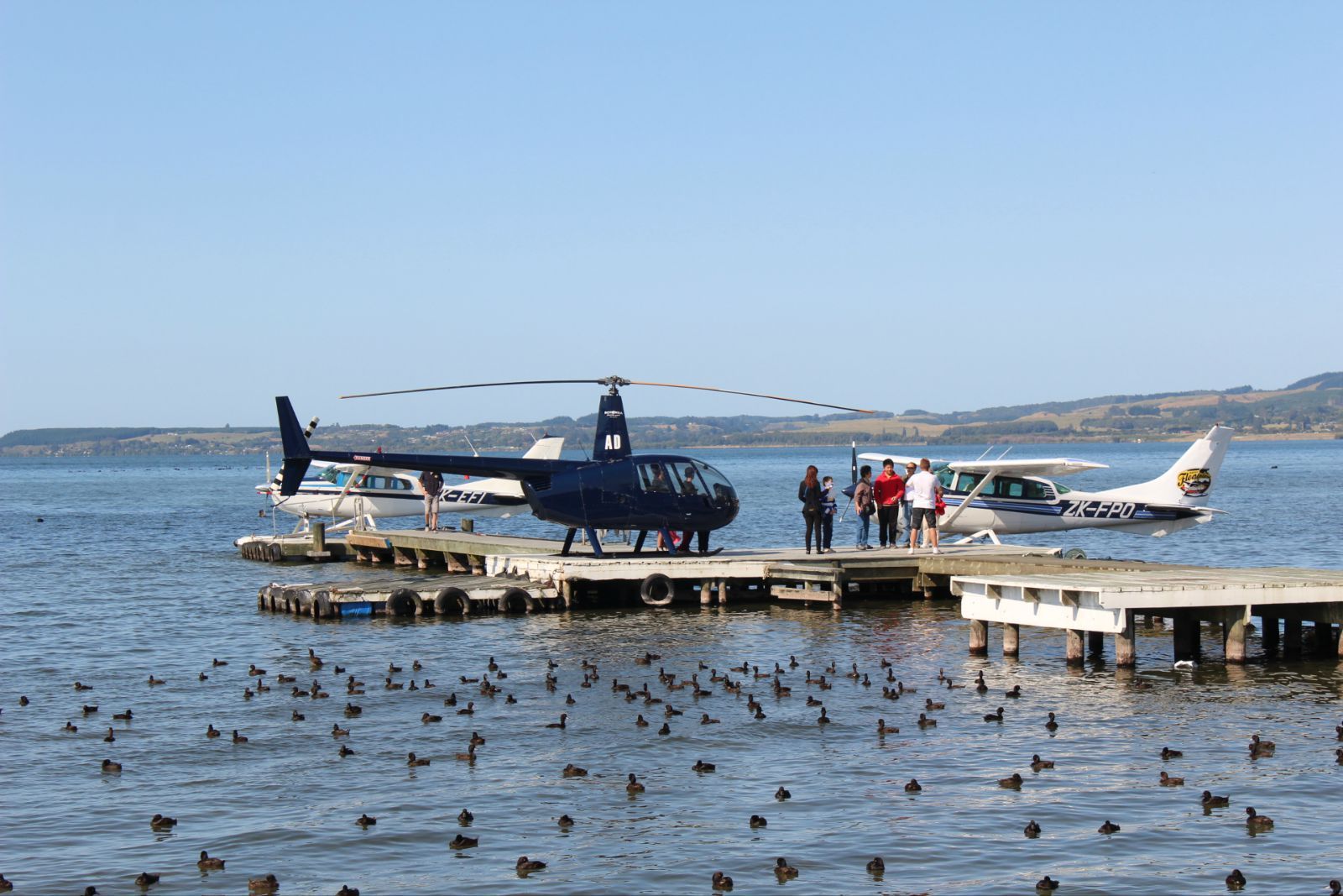 罗托鲁阿(rotorua-地热之城