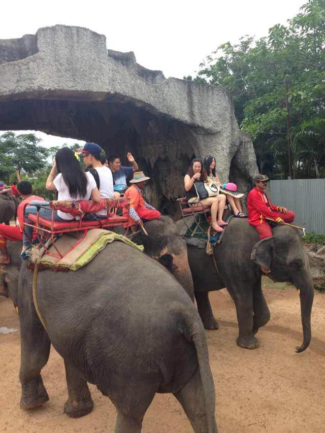 迟来的旅行【in thailand】