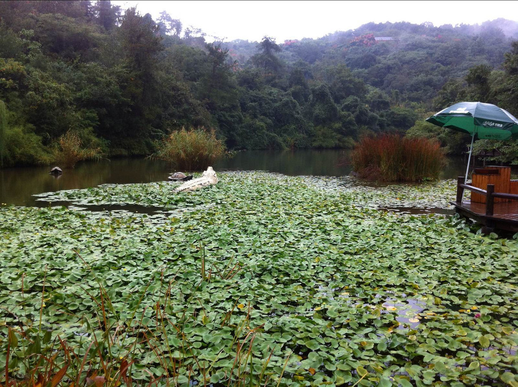 天目湖龙兴岛