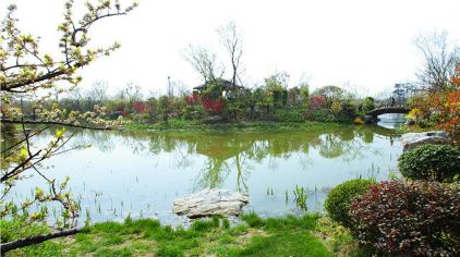 阳山桃花岛景观公园门票