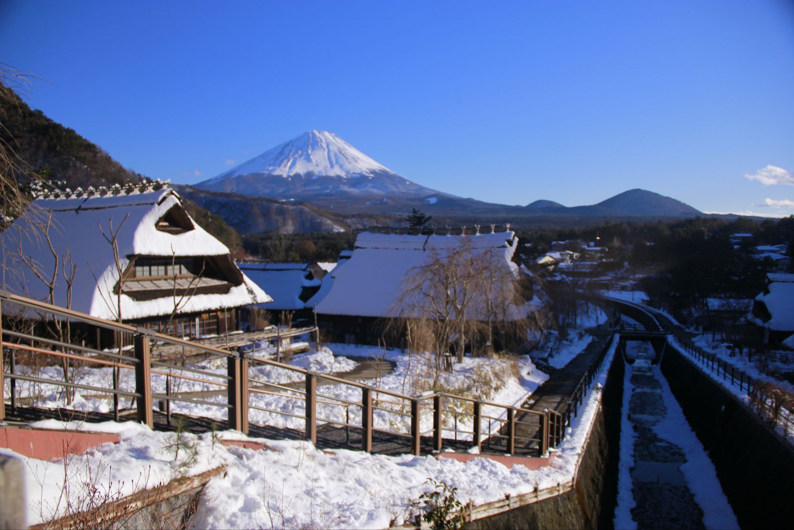 冬季游日本