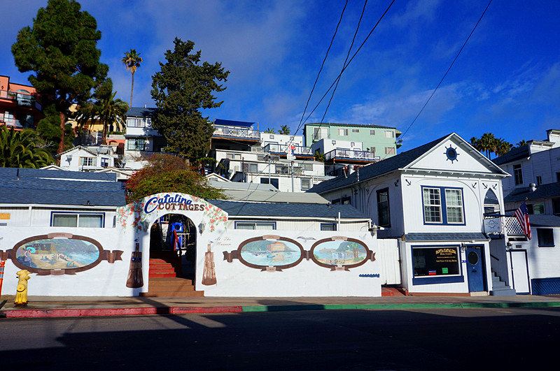 美国西海岸上人间仙境——圣卡塔利娜san catalina island