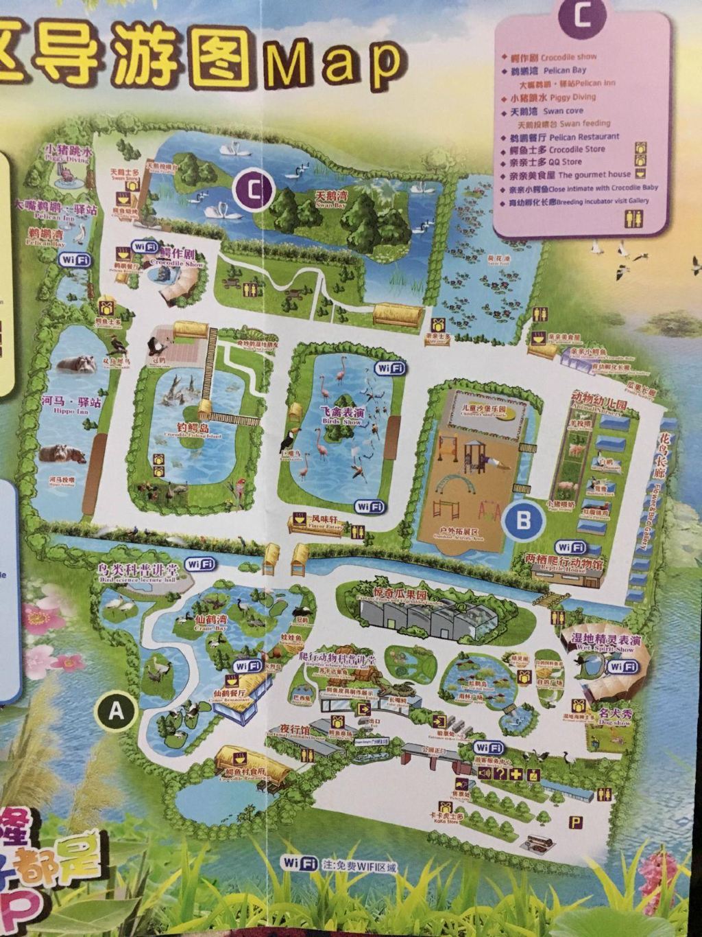 在去长隆之前,推荐的朋友都说不错,我也很纳闷,一个动物园再怎么好不就那样么,全球各地的长颈鹿都长的一个样。但朋友们的极力推荐,让我决定去广州感受一下不一样的野生动物园。 我觉得长隆野生动物园最大的特点在于体验,他把游客的体验融入到了原本呆板的参观浏览中,与各类动物幼仔的近距离观察给了游客更新奇的感受。半敞开式的乘车游览及允许游客自驾游览,还有近距离喂食各种动物,都比以前在看笼子里的动物更有趣。讲解员聊天式的讲解更生动有趣。园区的环境也是相当的好,完全不像一般传统动物园的那种扑面而来的大自然的味道。 总而言