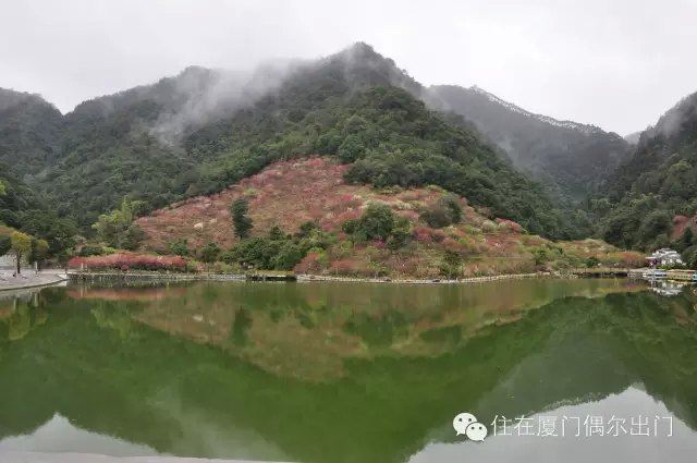 女神节泉州永春北溪桃花谷探春记