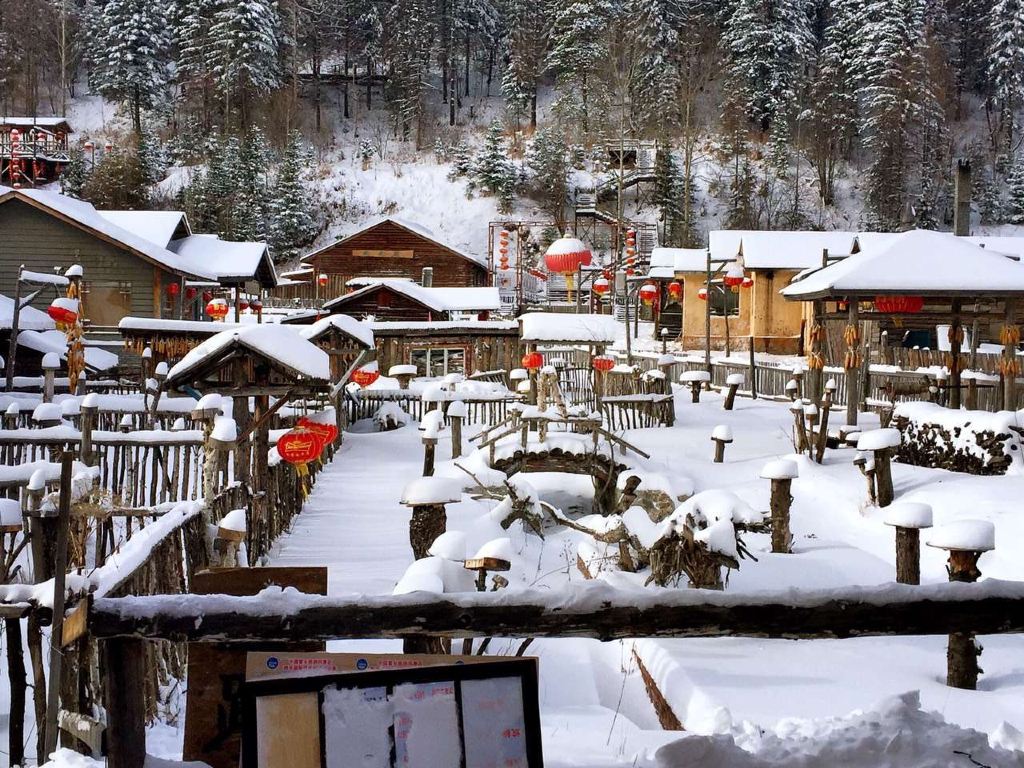 北国冰雪天地里的——(哈尔滨,雪谷,雪乡,雾凇岛,漠河