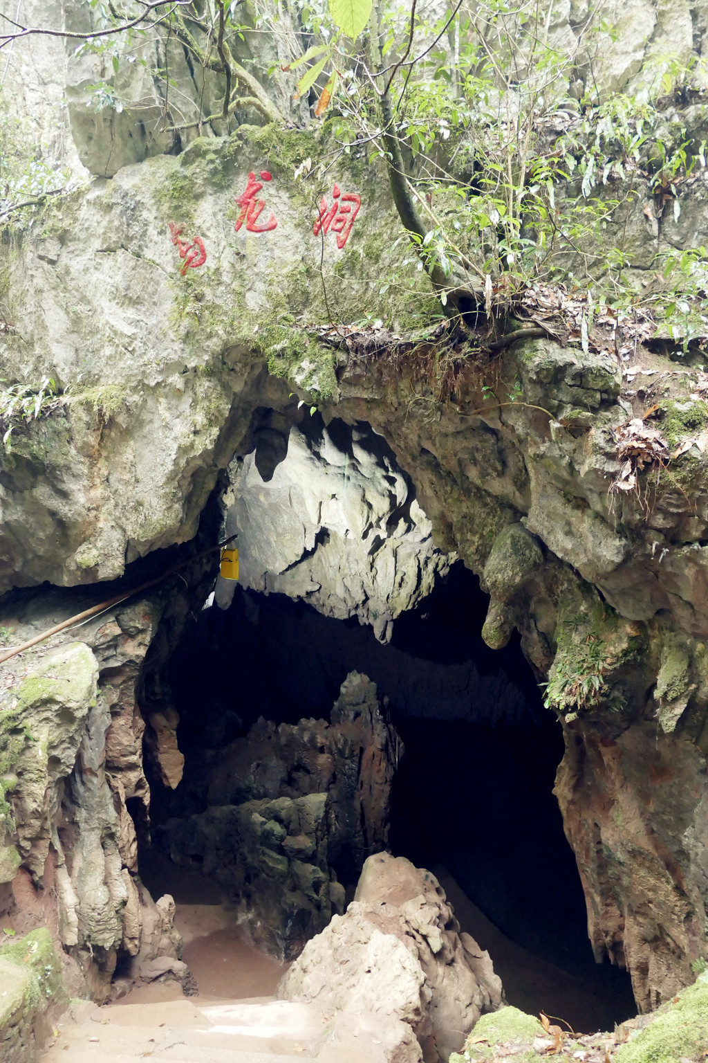 韦金勇:黄山新安江滨水景区,鲍家花园,棠樾牌坊,三清山天梁和三清湖