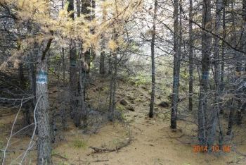 苏木山攻略-携程攻略秋韵【兴和游记】微攻略装修商场图片