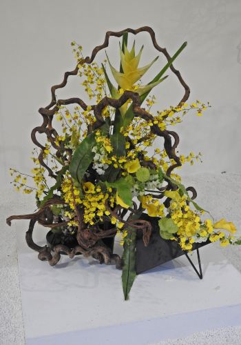 香港花展2016 (二之二) - 香港游记攻略