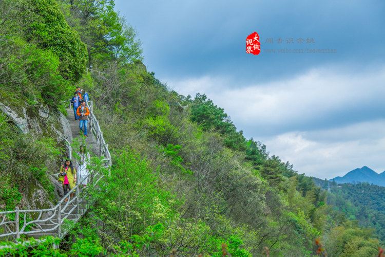 【大侠视界】闻香识余姚,花美四明山