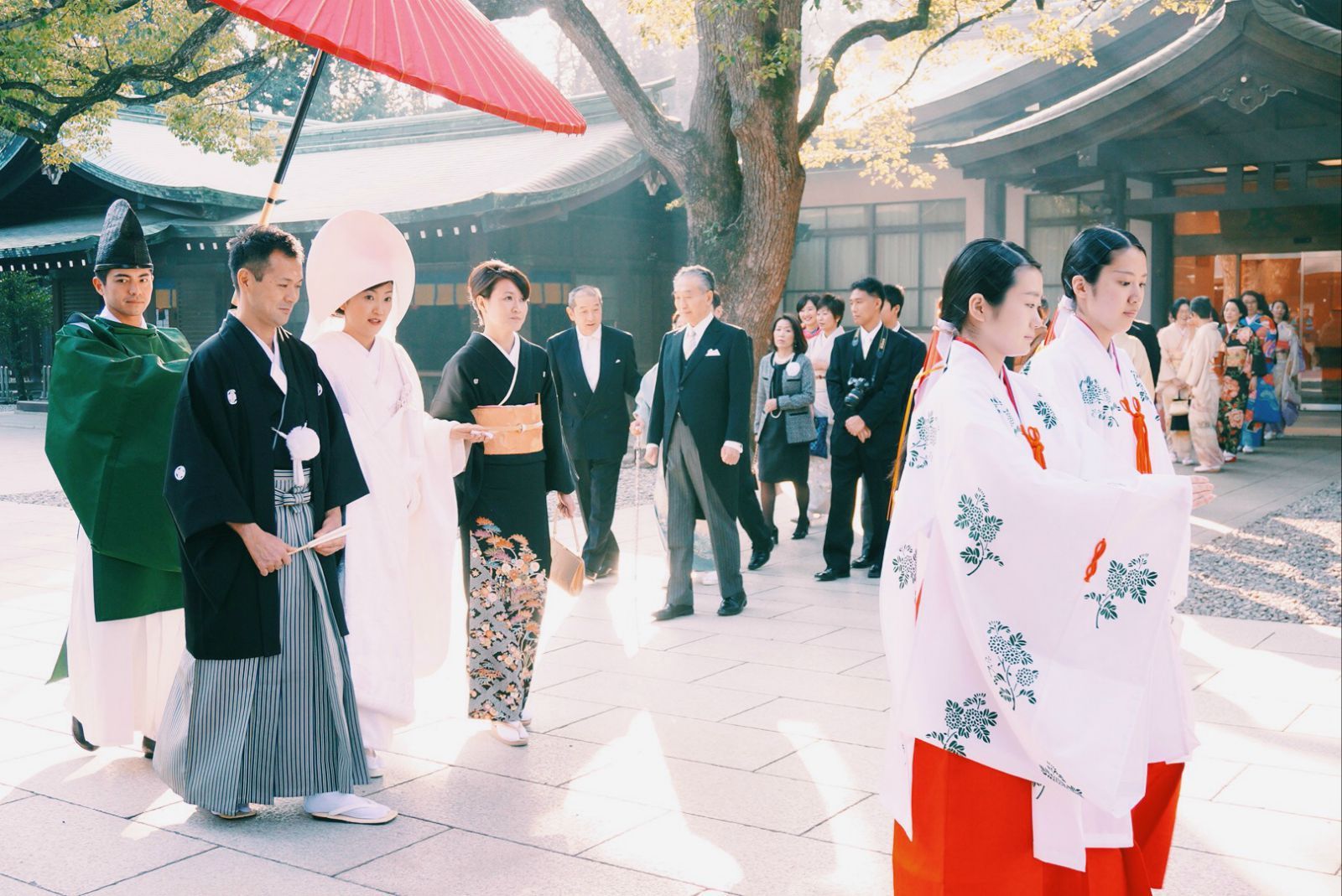 神殿门口,古木森森,新郎,新娘徐步从神社后殿走出,走到正殿前的院落里